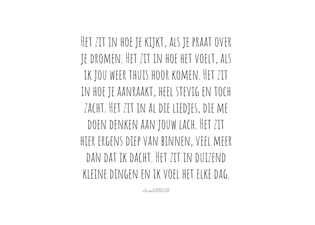 duizend kleine dingen