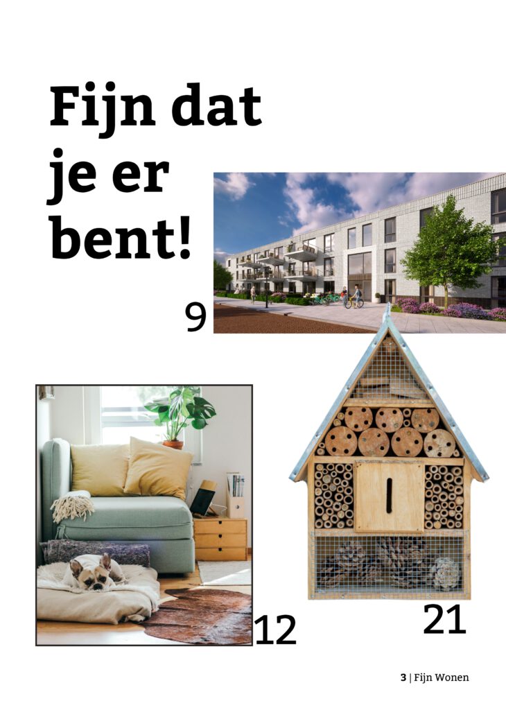 Inspiratiemagazine Fijn Wonen_page-0003